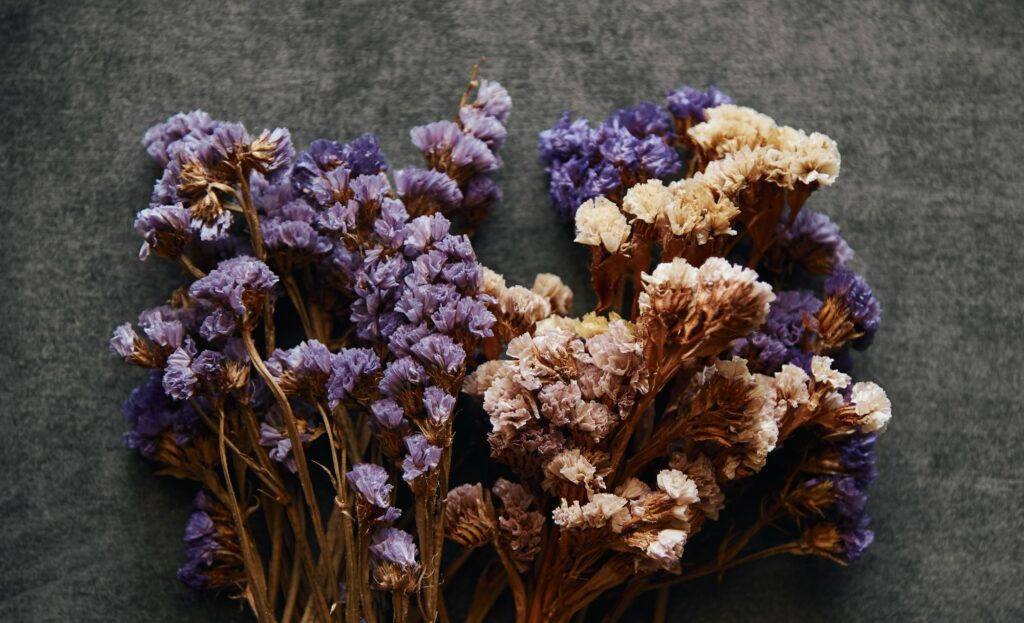 Close-up view of the dried flowers